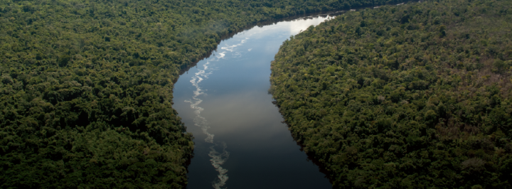 INFOGRÁFICO: A AMAZÔNIA DE HOJE